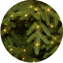 National Tree Company 7.5 ft. Pre-Lit Nordic Spruce Slim Tree with Clear Lights