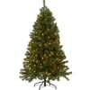 National Tree Company 5 ft. Pre-Lit North Valley Spruce Tree with Clear Lights