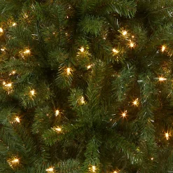 National Tree Company 5 ft. Pre-Lit North Valley Spruce Tree with Clear Lights