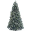 National Tree Company 7 ft. Pre-Lit North Valley Spruce Blue Tree with Clear Lights