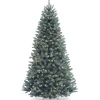 National Tree Company 6.5 ft. Pre-Lit North Valley Spruce Blue Tree with Clear Lights