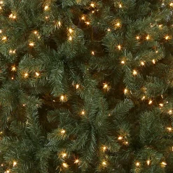 National Tree Company 6.5 ft. Pre-Lit North Valley Spruce Blue Tree with Clear Lights