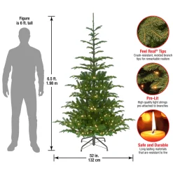 National Tree Company 6.5 ft. Pre-Lit Norwegian Spruce Tree with Clear Lights