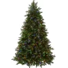 National Tree Company 7.5 ft. Pre-Lit Princeton Fraser Fir Tree with PowerConnect and 800 Dual Color LED Lights