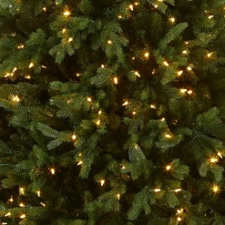 National Tree Company 7.5 ft. Pre-Lit Princeton Fraser Fir Tree with PowerConnect and 800 Dual Color LED Lights