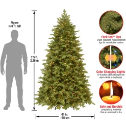 National Tree Company 7.5 ft. Pre-Lit Princeton Fraser Fir Tree with PowerConnect and 800 Dual Color LED Lights