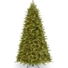 National Tree Company 9 ft. Pre-Lit Princeton Fraser Fir with PowerConnect Dual Color LED Lights