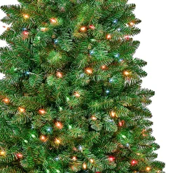 National Tree Company 6 ft. Pre-Lit Rowan Slim Tree with Multicolor Lights