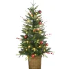 National Tree Company 4 ft. Pre-Lit Scotch Creek Fir Tree with LED Lights