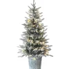 National Tree Company 4.5 ft. Pre-Lit Snowy Alpine Fir Tree with LED Lights