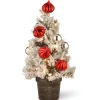 National Tree Company 2 ft. Pre-Lit Snowy Bristle Pine Tree with LED Lights