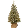 National Tree Company 3 ft. Pre-Lit Snowy Concolor Fir Tree with LED Lights