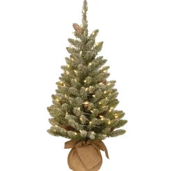 National Tree Company 3 ft. Pre-Lit Snowy Concolor Fir Tree with LED Lights
