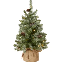 National Tree Company 2 ft. Pre-Lit Snowy Concolor Fir Tree with LED Lights