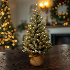 National Tree Company 2 ft. Pre-Lit Snowy Concolor Fir Tree with LED Lights