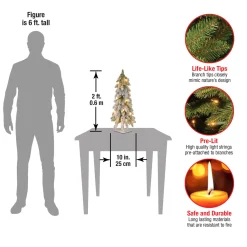National Tree Company 2 ft. Pre-Lit Snowy Downswept Forest Tree with Clear Lights