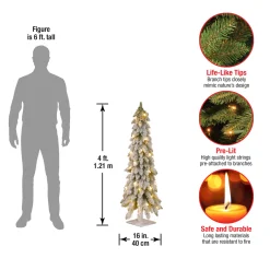 National Tree Company 4 ft. Pre-Lit Snowy Downswept Forest Tree with Clear Lights