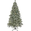 National Tree Company 9 ft. Pre-Lit Snowy Harwich Hinged Tree with PowerConnect Warm White LED Lights