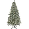 National Tree Company 9 ft. Pre-Lit Snowy Harwich Tree with PowerConnect Dual Colored LED Lights