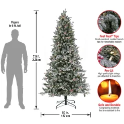 National Tree Company 7.5 ft. Pre-Lit Snowy Poechmann Fir Tree with LED Lights