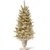 National Tree Company 4 ft. Pre-Lit Snowy Sheffield Spruce Tree with Twinkly LED Lights