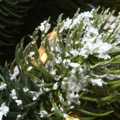 National Tree Company 4.5 ft. Pre-Lit Trinity Spruce Tree with LED Lights