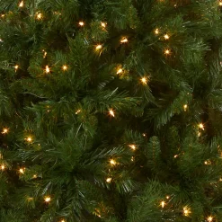 National Tree Company 6.5 ft. Pre-Lit Winchester Pine Tree with Clear Lights