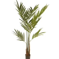 National Tree Company 4 ft. Spring Kentia Palm Potted Tree with Leaves, Simulated Soil in a Black Pot