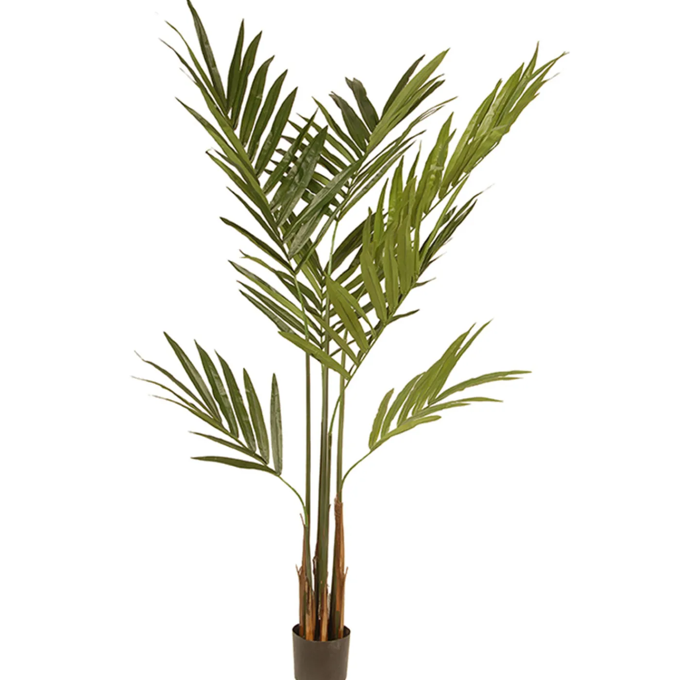 National Tree Company 4 ft. Spring Kentia Palm Potted Tree with Leaves, Simulated Soil in a Black Pot