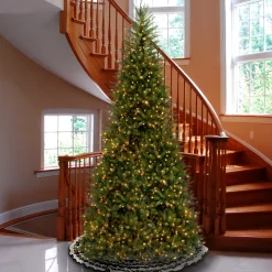 National Tree Company 10 ft.Pre-Lit Dunhill Fir Slim Tree with Clear Lights