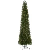 National Tree Company 10 ft.Pre-Lit Kingswood Fir Pencil Slim Tree with Clear Lights