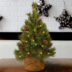 National Tree Company 3 ft.Pre-Lit Pine Cone Tree with LED Lights