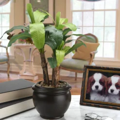 National Tree Company 18 in. Banana Plant