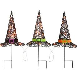 National Tree Company 23 in. Halloween Pre-Lit Black Witchs Hat Garden Stakes