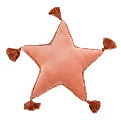 National Tree Company 16 in. HGTV Home Collection Star Shape Pillow, Blush