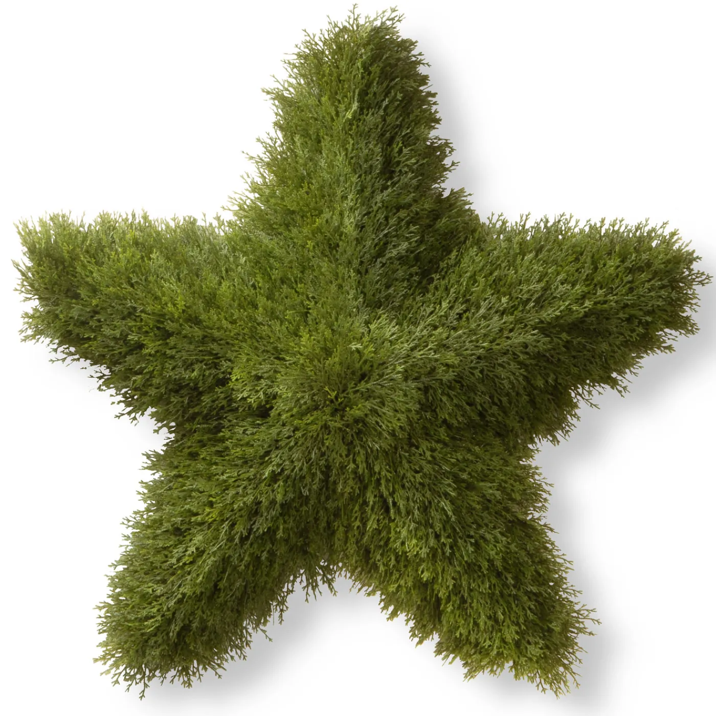 National Tree Company 36 in. Juniper Star Wreath