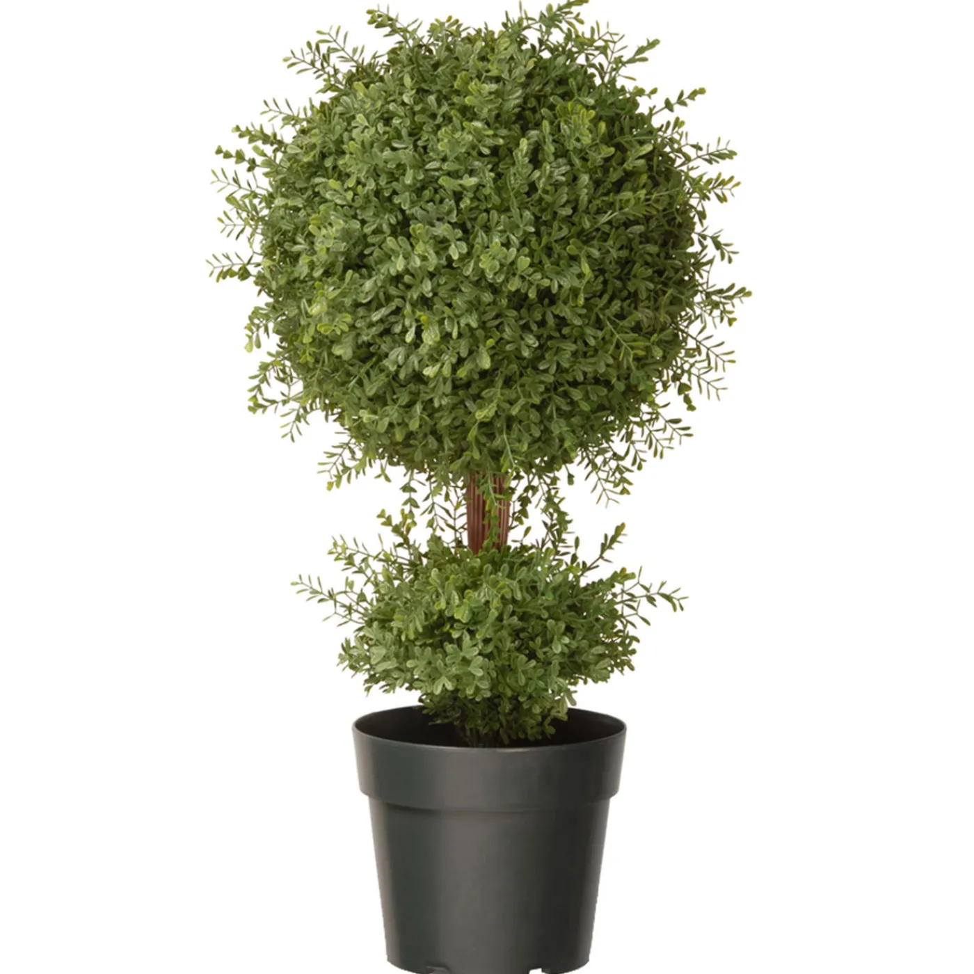 National Tree Company 30 in. Mini Tea Leaf 1 Ball in Green Round Growers Pot