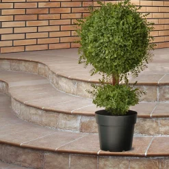 National Tree Company 30 in. Mini Tea Leaf 1 Ball in Green Round Growers Pot