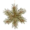 National Tree Company 32 in. Pre-Lit Dunhill Fir Double-Sided Flocked Snowflake with LED Lights