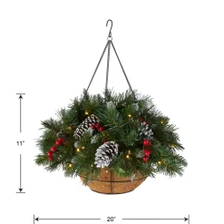 National Tree Company 20 in. Pre-Lit Frosted Berry Hanging Basket with LED Lights