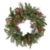 National Tree Company 24 in. Pre-Lit Bristle Berry Wreath with LED Lights