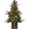 National Tree Company 40 in. Pre-Lit Decorative Collection Magnolia Tree with Clear Lights