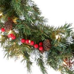 National Tree Company 24 in. Pre-Lit Frosted Berry Wreath with Clear Lights, Plug-In