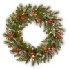National Tree Company 24 in. Pre-Lit Frosted Pine Berry Wreath with LED Lights