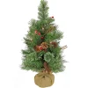 National Tree Company 24 in. Pre-Lit Glistening Pine Tree with Warm White LED Lights