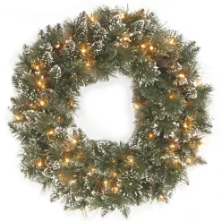 National Tree Company 24 in. Pre-Lit Glittery Bristle Pine Wreath with LED Lights