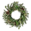 National Tree Company 28 in. Pre-Lit HGTV Home Collection Holly and Berry Wreath