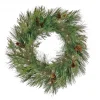 National Tree Company 28 in. Pre-Lit HGTV Home Collection Black Tie Cedar Wreath