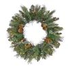 National Tree Company 24 in. Pre-Lit North Conway Wreath with Warm White LED Lights