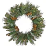 National Tree Company 30 in. Pre-Lit North Conway Wreath with Clear Lights